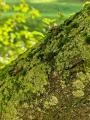  Wojewódzki Konkurs Fotograficzny ,,Podróże w Naturze 2024"