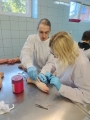  Warsztaty medyczne w AMiSNS w Elblągu