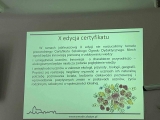  Zielona flaga