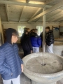 Muzeum Stutthof w Sztutowie