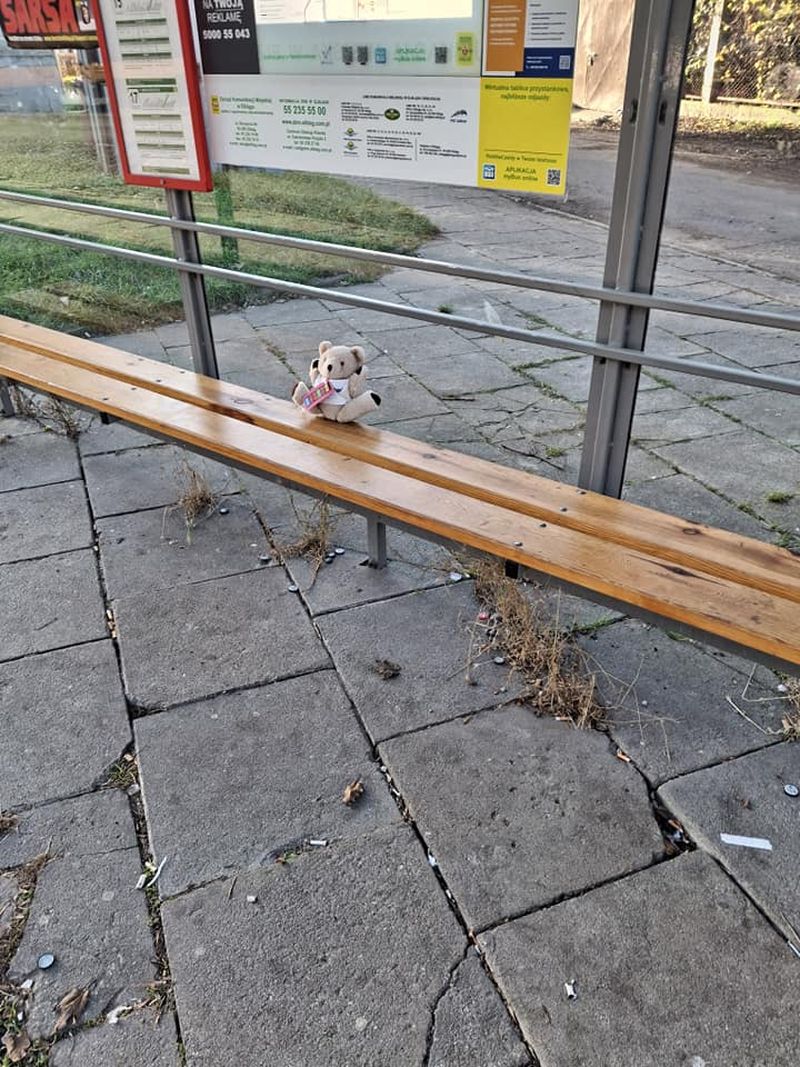 mt_gallery: Akcja "Nie bij mnie - Kochaj mnie"