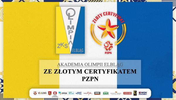 Złota Gwiazdka PZPN