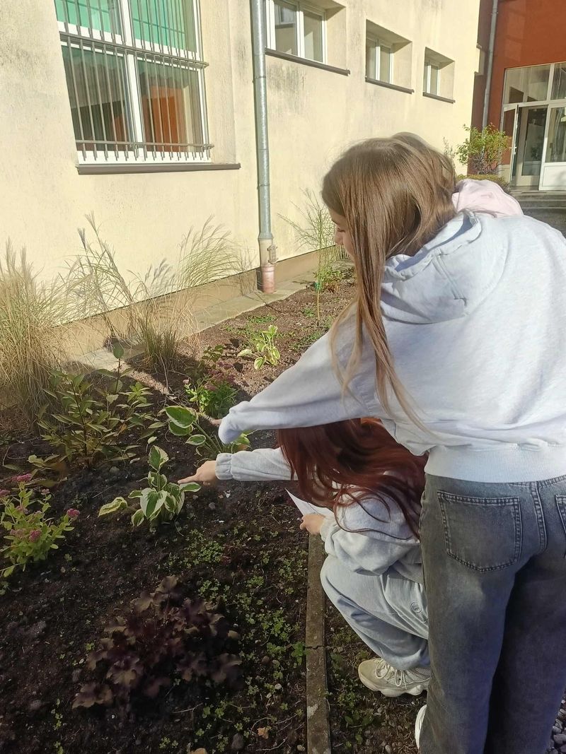 mt_gallery: Zajęcia ekologiczne w naszym ogrodzie!