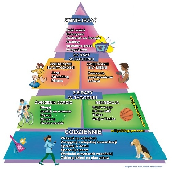 Znalezione obrazy dla zapytania "Piramida aktywności fizycznej"
